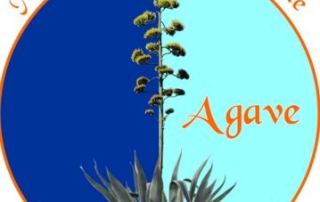 agave