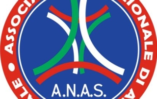 anas italia