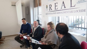 caulonia progetto real