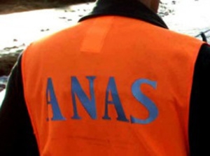 anas